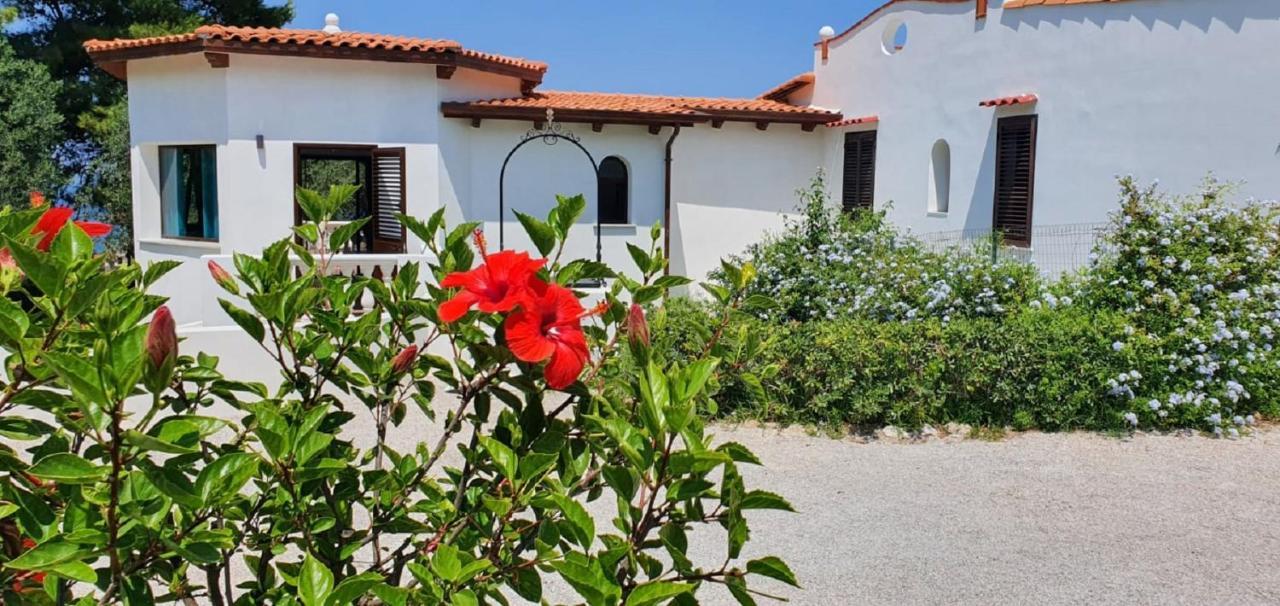 Holiday home Nunziatella Badia *