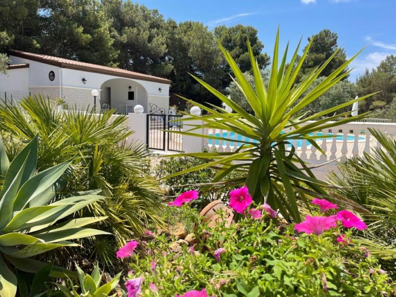 Nunziatella Badia Holiday home *