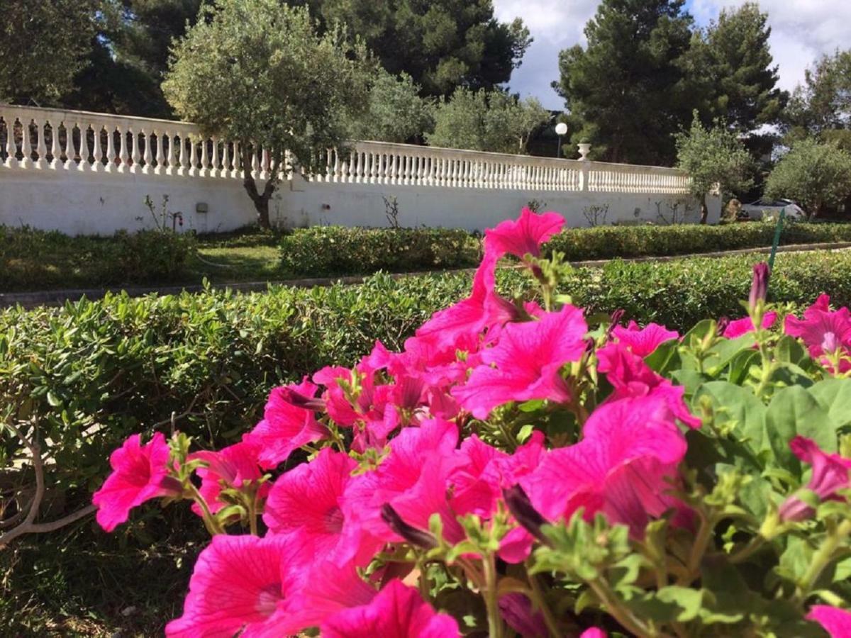Holiday home Nunziatella Badia Trappeto (Sicily)