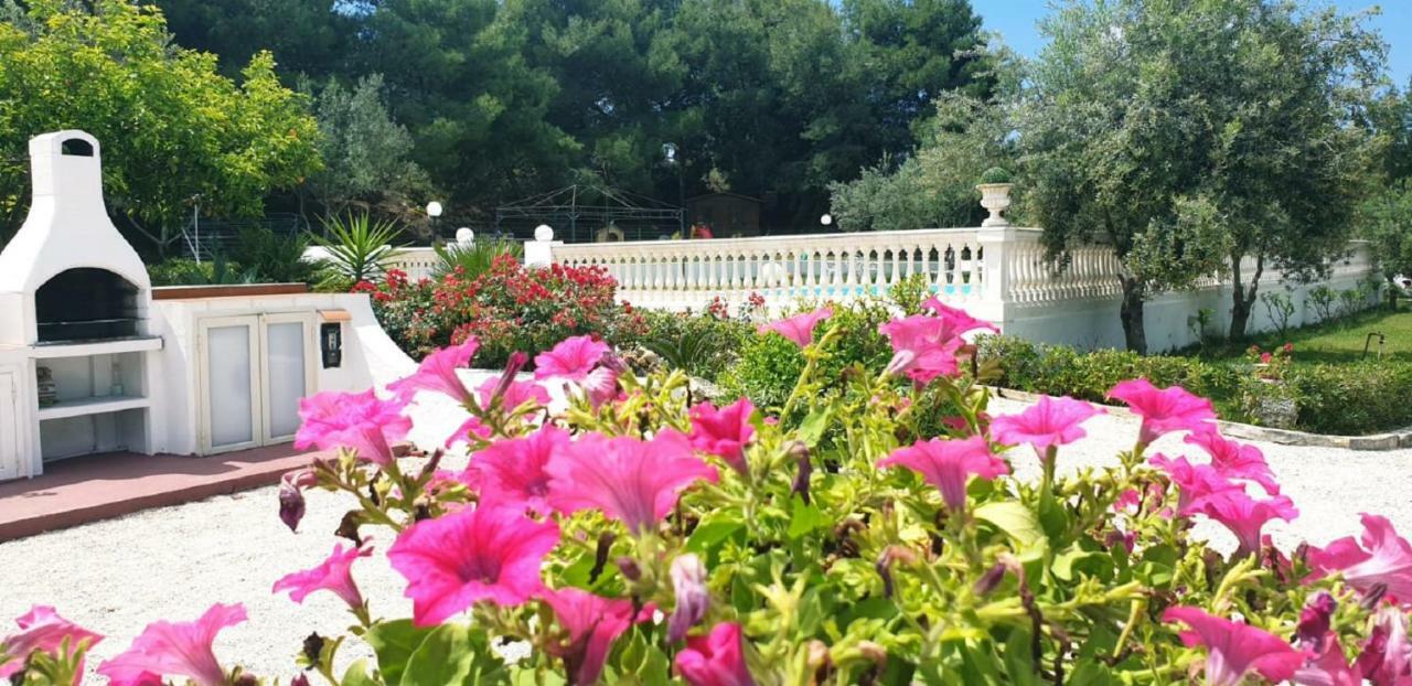 Nunziatella Badia Holiday home Trappeto (Sicily)